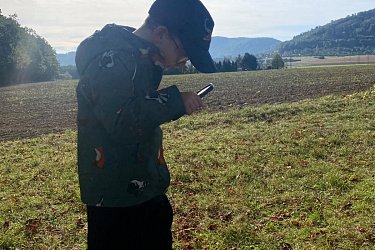 Obrázek č.12